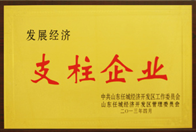 被評為發展經濟支柱企業