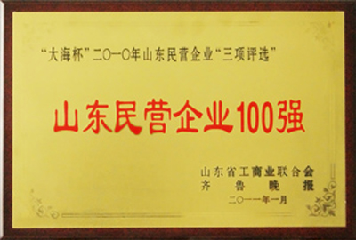 被評為“山東民營企業100強”